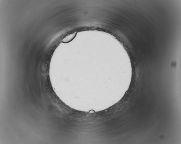 X0000112841064200910021102