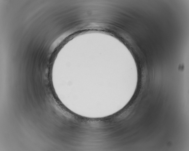 X0000112841066200910021102