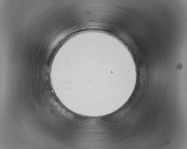 X0000112841067200910021102