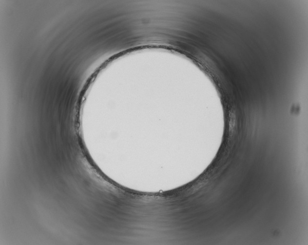 X0000112841068200910021102