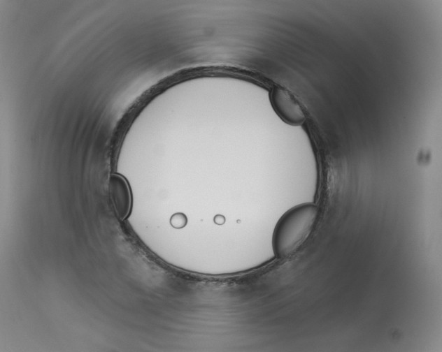 X0000112841069200910021102