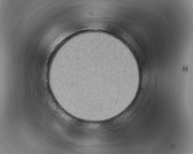 X0000112841071200910021102