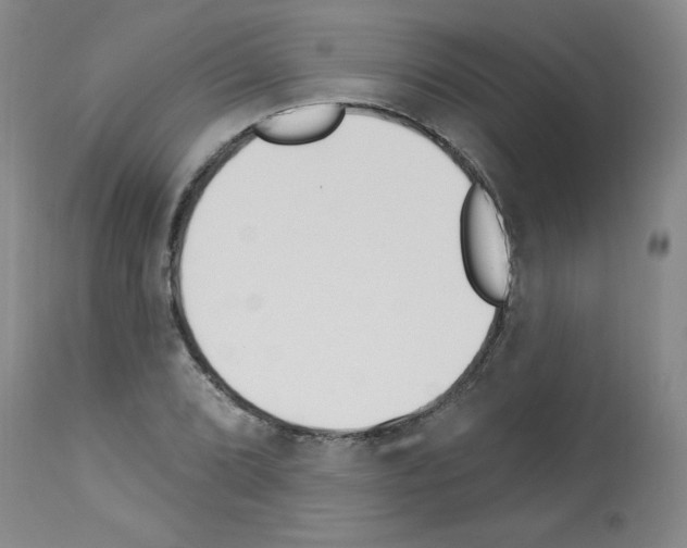 X0000112841072200910021102