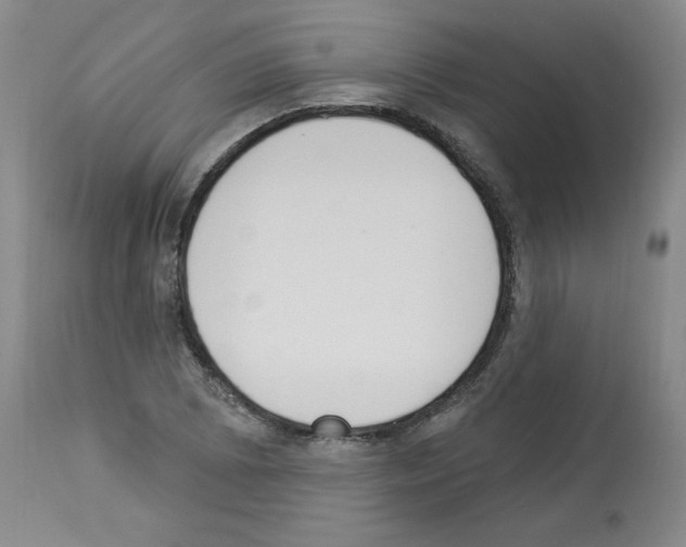 X0000112841073200910021102