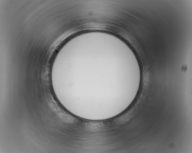 X0000112841074200910021102