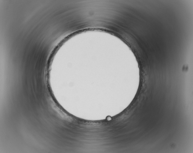 X0000112841076200910021102