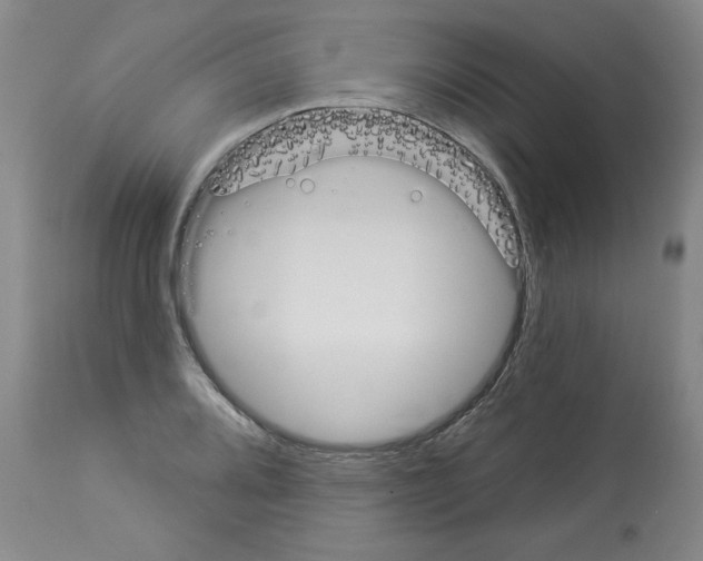 X0000112841080200910021102