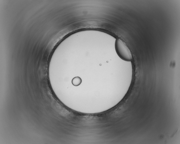 X0000112841081200910021102