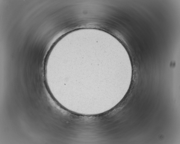 X0000112841087200910021102