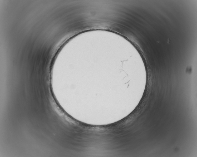 X0000112841088200910021102