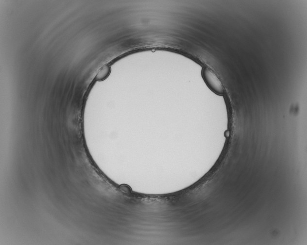 X0000112841089200910021102