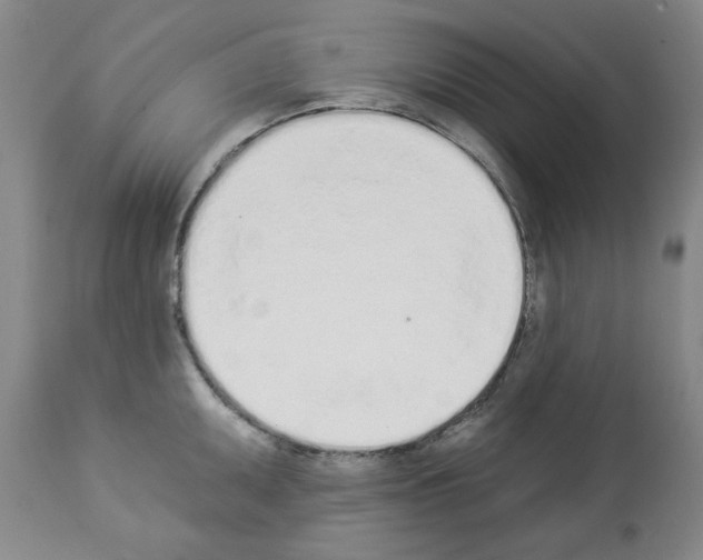 X0000112841095200910021102