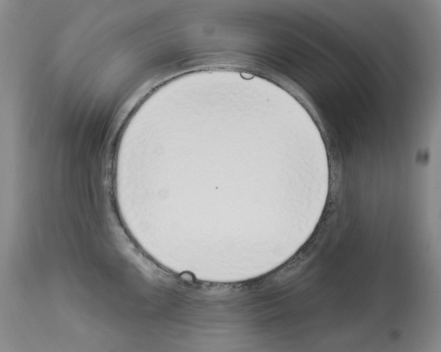 X0000112841099200910021102