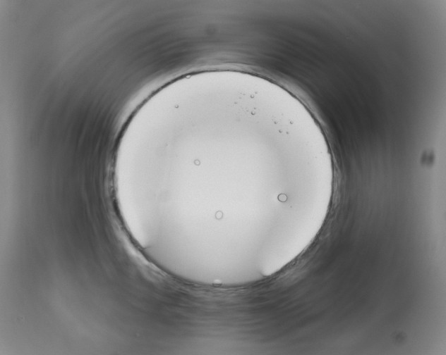 X0000112841101200910021102