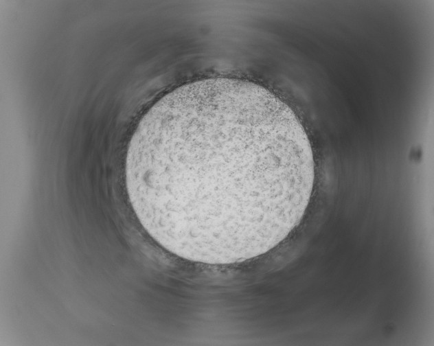 X0000112841105200910021101