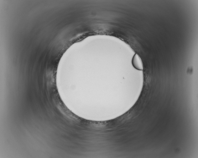 X0000112841106200910021101