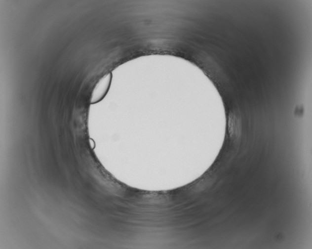 X0000112841107200910021101