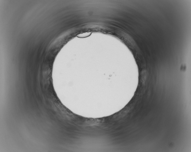 X0000112841111200910021101