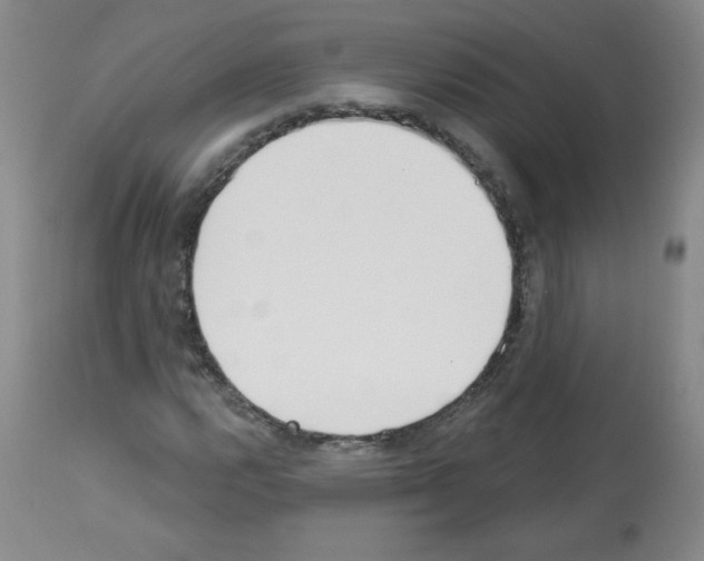 X0000112841112200910021101