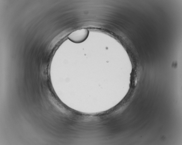 X0000112841113200910021101