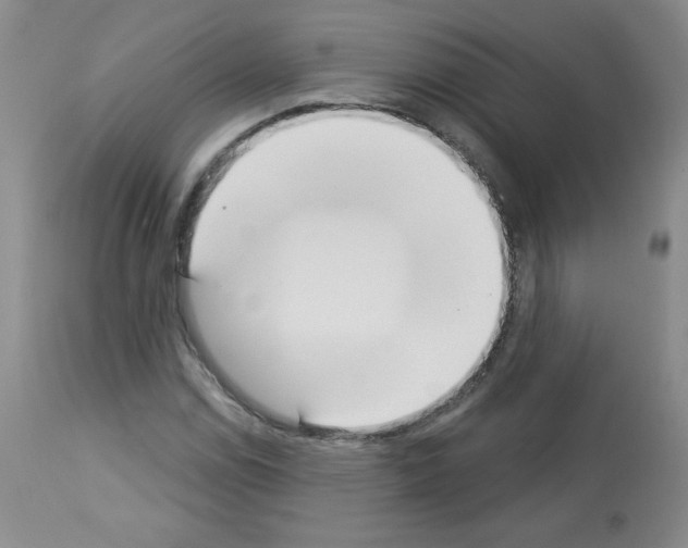 X0000112841114200910021101