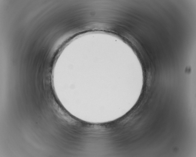 X0000112841115200910021101