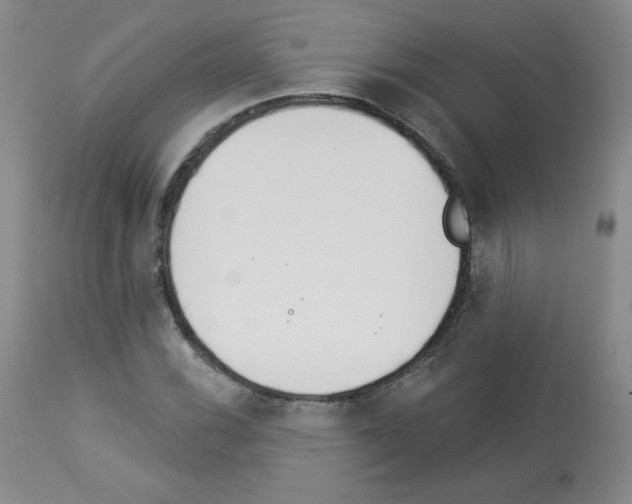 X0000112841116200910021101