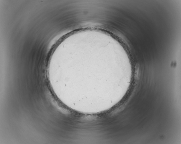 X0000112841117200910021101