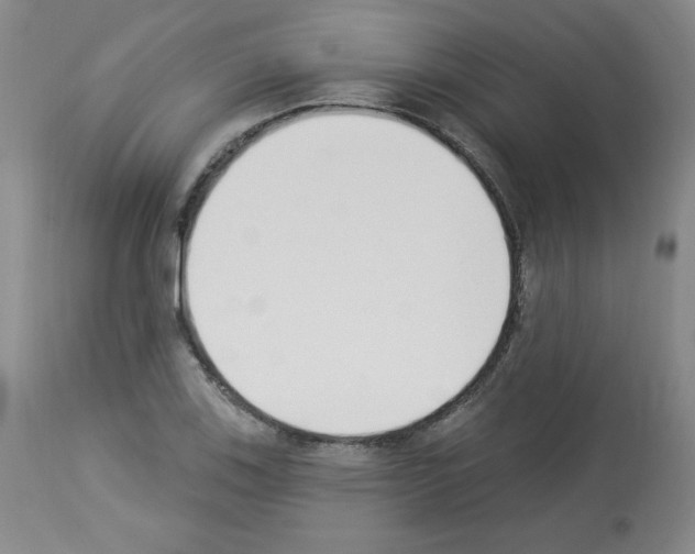 X0000112841123200910021101