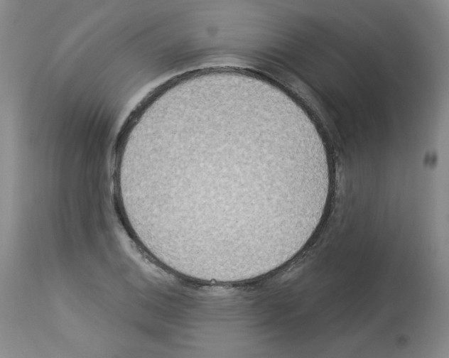 X0000112841124200910021101