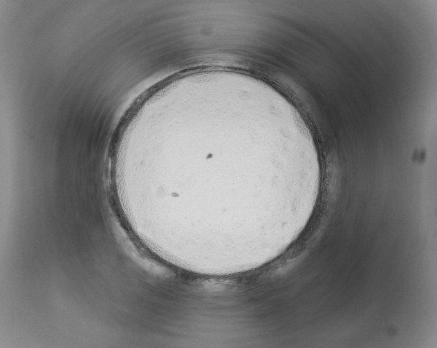 X0000112841125200910021101