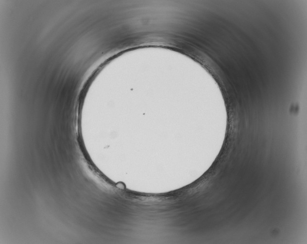 X0000112841132200910021101