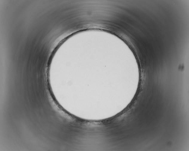 X0000112841133200910021101