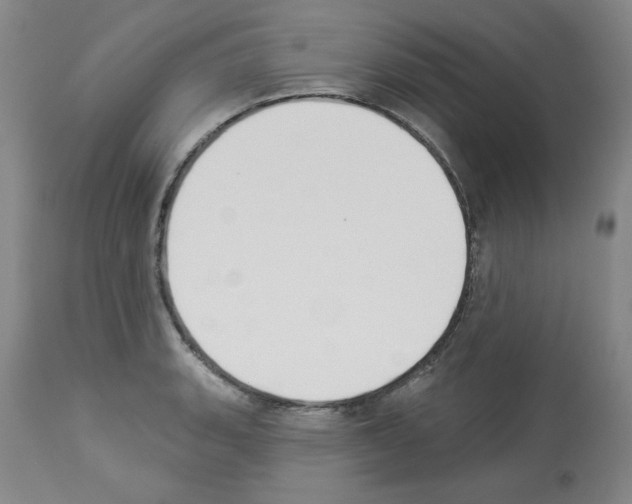 X0000112841135200910021101