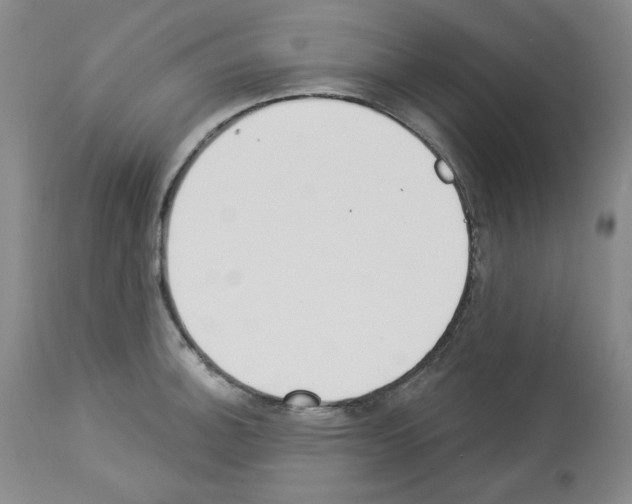 X0000112841140200910021101