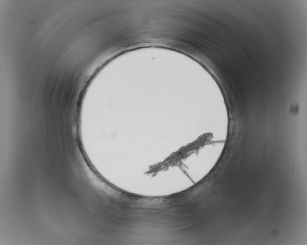 X0000112841143200910021101