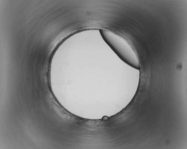 X0000112841146200910021101