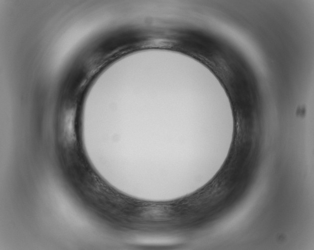 X0000112841150200910021102