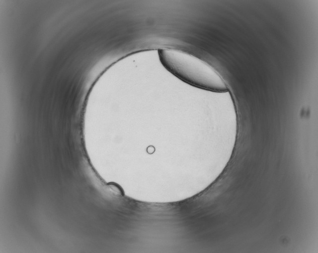 X0000112841152200910021102