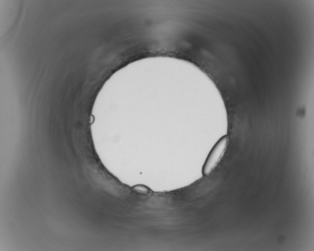 X0000112841153200910021101