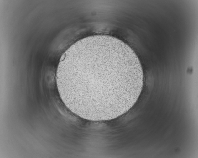 X0000112841154200910021101