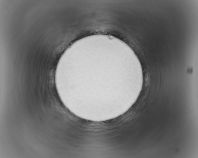 X0000112841156200910021101