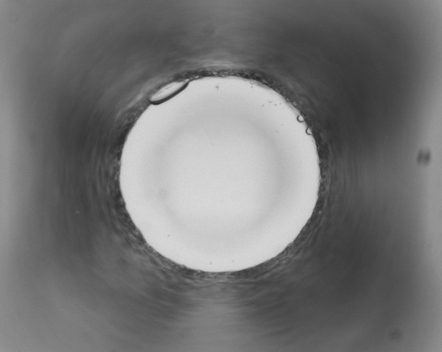 X0000112841157200910021101