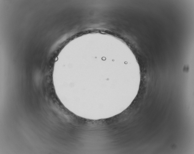 X0000112841159200910021100