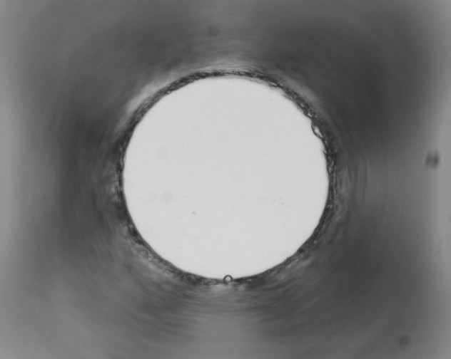 X0000112841160200910021100