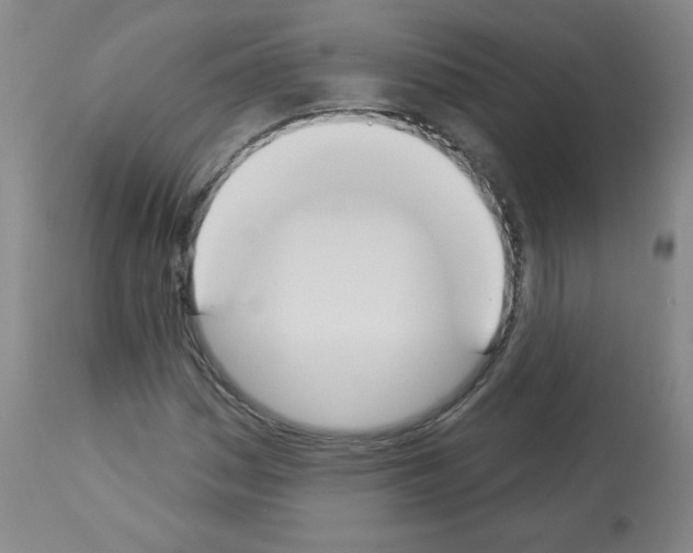 X0000112841161200910021100