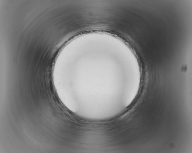 X0000112841162200910021100