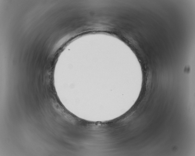 X0000112841163200910021100