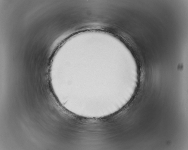 X0000112841164200910021100