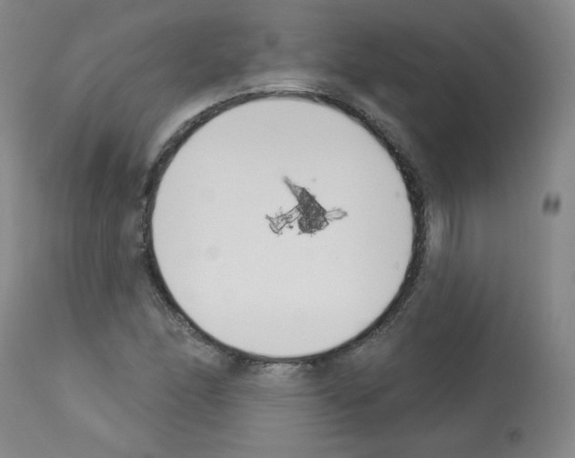 X0000112841166200910021100